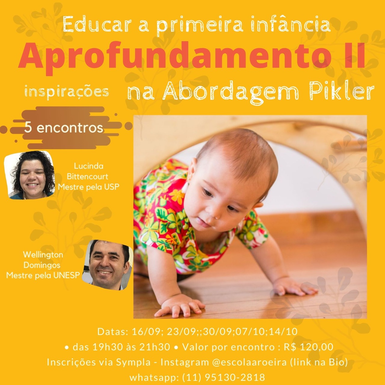 Curso Aprofundamento II: Educar a primeira infância – Inspirações na Abordagem Pikler